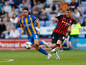 Supporting image for story: Dave Edwards: Step too far for Shrewsbury against my champions tip