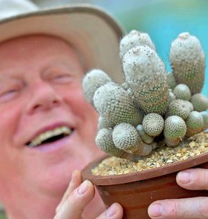 Stan’s oldest cactus is around 60