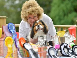 Supporting image for story: Family fun day and dog show coming to North Shropshire village