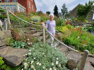 Supporting image for story: Garden secrets revealed as Ludlow event returns