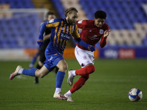 Supporting image for story: Shrewsbury Town 0 Crewe Alexandra 1 - Report