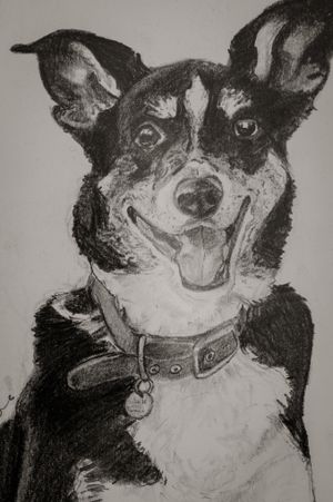 One of Amanda's creations