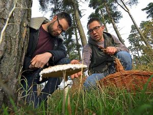 Supporting image for story: Pick your own