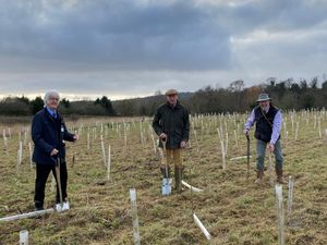 Supporting image for story: Tree planting begins in Bewdley