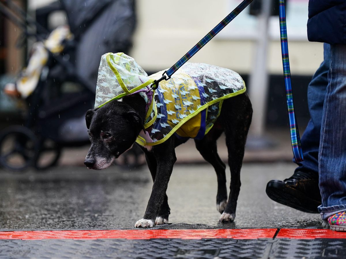 Storm Bram will lead to strong winds and heavy rain, forecasters warn