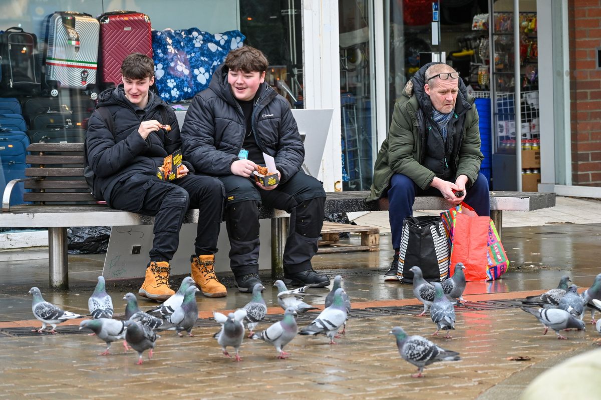 ‘There’s more pigeons than shoppers in Dudley - our once thriving home has become a shanty town’