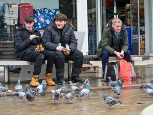 Supporting image for story: ‘There’s more pigeons than shoppers in Dudley - our once thriving home has become a shanty town’
