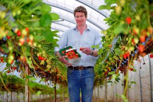 Supporting image for story