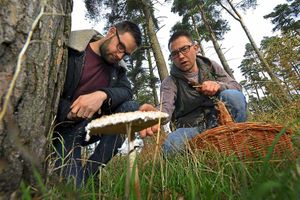 Supporting image for story: Pick your own