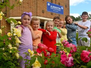 Supporting image for story: Village primary pupils tot up their colourful fundraising efforts