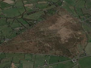 Supporting image for story: Blaze at Staffordshire nature reserve was arson - police