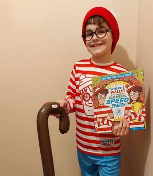 Supporting image for story