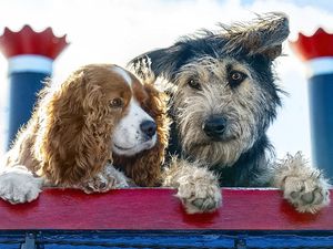 Supporting image for story