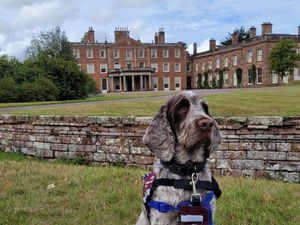 Supporting image for story: Great British Dog Walk event to take place at stunning county venue