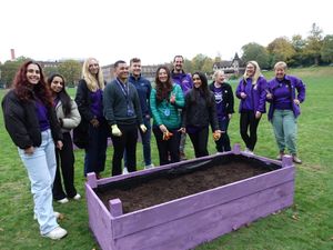 Supporting image for story: Local volunteers transform space with winning garden design