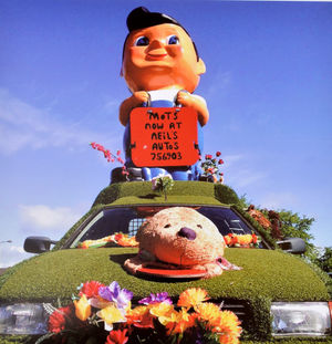 Picture by Tom Hicks