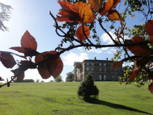 Supporting image for story: Shropshire campaigners at forefront of bid to convince millions to back environment legislation