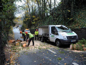 Supporting image for story: 40mph gusts blow tree onto milk float