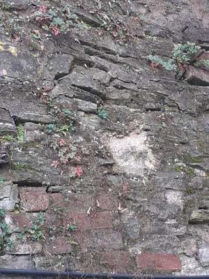 A close-up shot of part of Martin Crowdy's boundary wall which shows some of the damage. Photo: Martin Crowdy