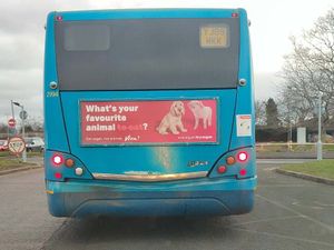 Supporting image for story: Vegans are back with adverts on the back of Shropshire buses