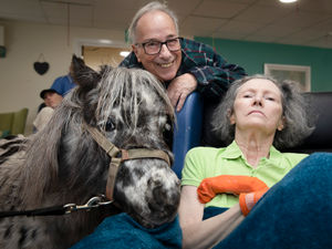 Supporting image for story: Horse whisperer's touching moment meeting Dottie the Shetland pony