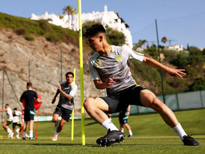 Supporting image for story: The Wolves pups hoping to make the main pack