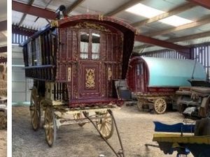 Supporting image for story: Plans for glamping site on border of Shropshire and Powys lodged with council