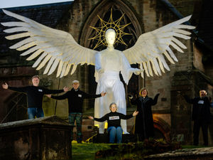 Supporting image for story: Bright idea for the festive season