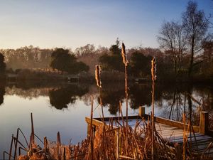 Supporting image for story: New nature reserve on site of former Telford pit mound