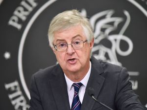 Supporting image for story: Wales to create woodlands in memory of coronavirus fatalities