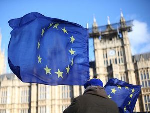 Supporting image for story