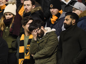 Supporting image for story: Wolves fans: Promotion out of reach next season