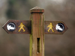 Supporting image for story: Shropshire Way walking festival to expand with routes for all abilities