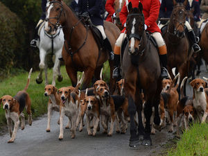 Supporting image for story: National Trust stands by hunting policy after Shropshire protests