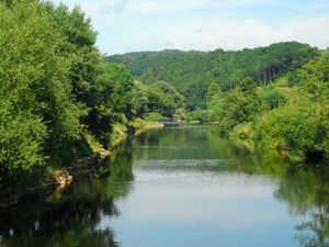 Supporting image for story: 'Save our river' call over agricultural pollution 