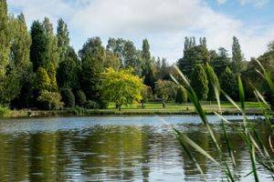 BM - Waterside features canalside homes for those looking for a blue view