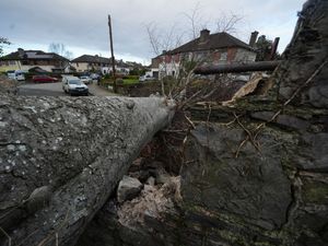 Supporting image for story: Every effort being made to restore power and electricity supplies – Taoiseach