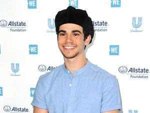 Supporting image for story