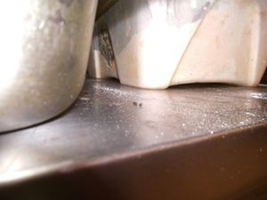 Mouse droppings found by inspectors. Picture: Walsall Council