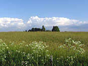 Supporting image for story: Green space 'under threat'