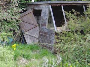Supporting image for story: Renting out a house with a garden