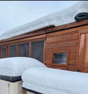 The rescue centre saw heavy snow