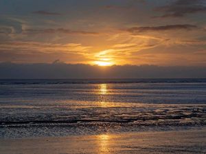 Supporting image for story: Marine species ‘relocating towards the poles due to rising ocean temperatures’