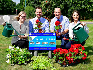 Supporting image for story: Roundabout welcomes visitors to the town