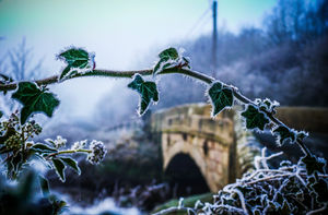 Frosty scene in Stanton upon Hine Heath, near, Shrewsbury. Photo: Jemma McCarthy.