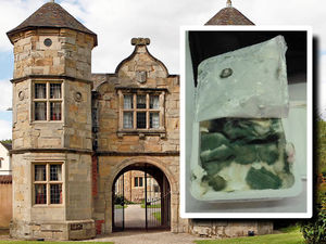 Supporting image for story: Firm behind Telford hotel fined for hygiene flaws after mouldy food found