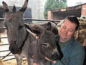 Supporting image for story: Donkey's starring nativity role