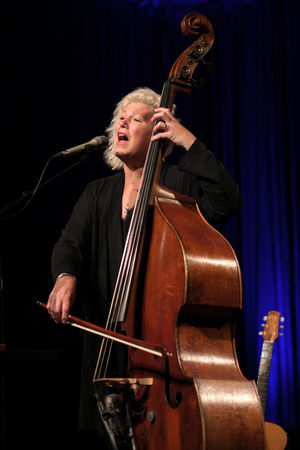 Multi-instrumentalist Miranda Sykes performed at the Edge Arts Centre in Much Wenlock on Saturday. Photo: Tom Foxall