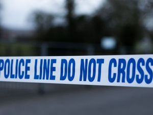 Supporting image for story: Teenager dies after car hits tree as police investigate cause of crash