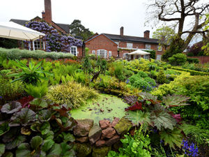 Supporting image for story: Hotel garden near Market Drayton joins elite Royal Horticultural Society club